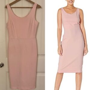 Betsy Johnson Sleeveless Sheath Dress in Blossom Pink. Size 4